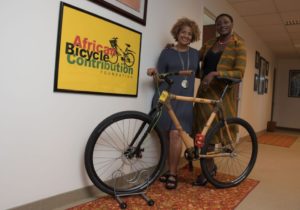 Bamboo Bike